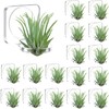Jetec 24 Pcs Acrylic Air Plants Holder Hanger with Mounting