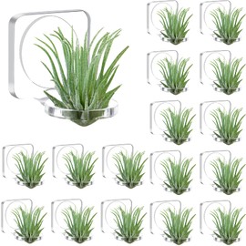 Jetec 24 Pcs Acrylic Air Plants Holder Hanger with Mounting Tape for Hanging Air Plants on Glass Display Home Decoration