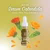 XAMANIA Serum Calendula