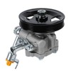 Power Steering Pump, with Pulley, 1991-2003 - 7120160P