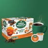 Green Mountain Coffee Roasters Seasonal Selections Pumpkin Spice 12 Count