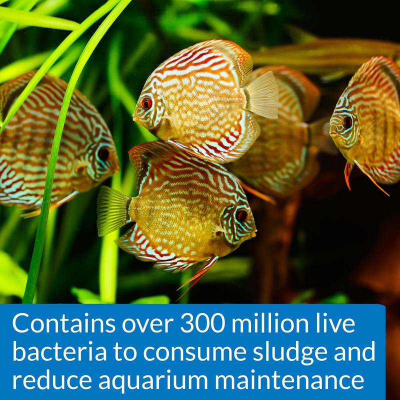 API STRESS ZYME Freshwater and Saltwater Aquarium Cleaning Solution 1-Ounce