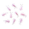 Pink Soft Plastic stonefly 20 Pack