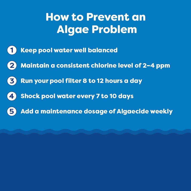 In The Swim Algaecide 60 Plus for Swimming Pools -