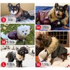 LESYPET Dog Leather Jacket for Small Dogs, Small Dog Jacket