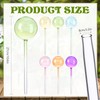 Maxdot 6 Pcs Large Plant Watering Globes Glass Automatic Self