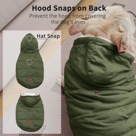 Vecomfy Fleece Lining Extra Warm Dog Hoodie in Winter,Small Dog Jacket Puppy Coats with Hooded Green XS