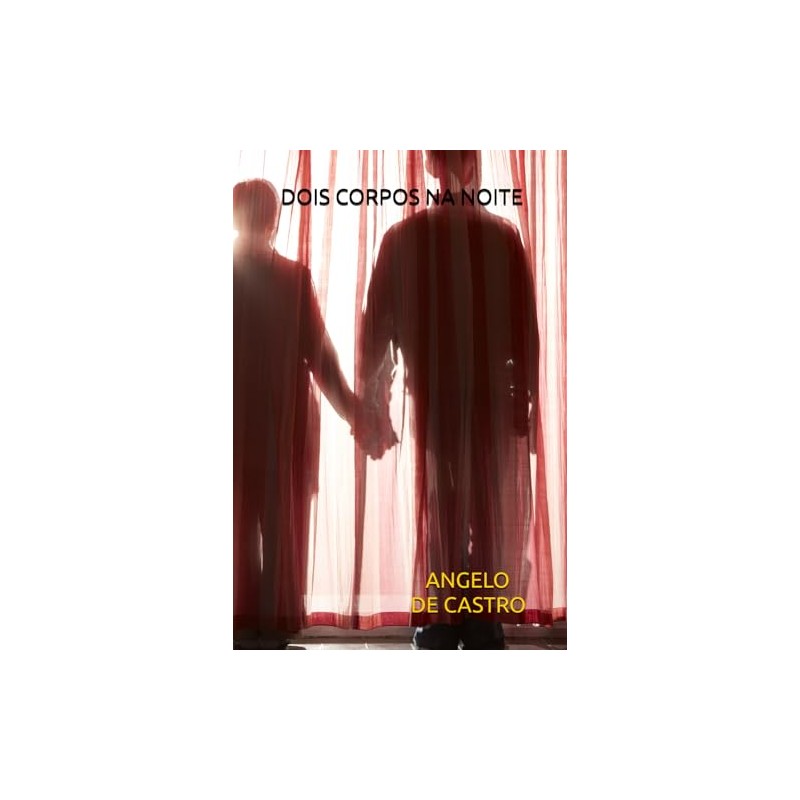 DOIS CORPOS NA NOITE
