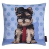 Funny Cushion Funny Animal Motifs Approximately 40 x 40 cm