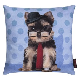 Funny Cushion Funny Animal Motifs Approximately 40 x 40 cm