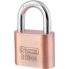 Padlock Hardened Steel Cellar Lock Shackle Lock with 4 Keys