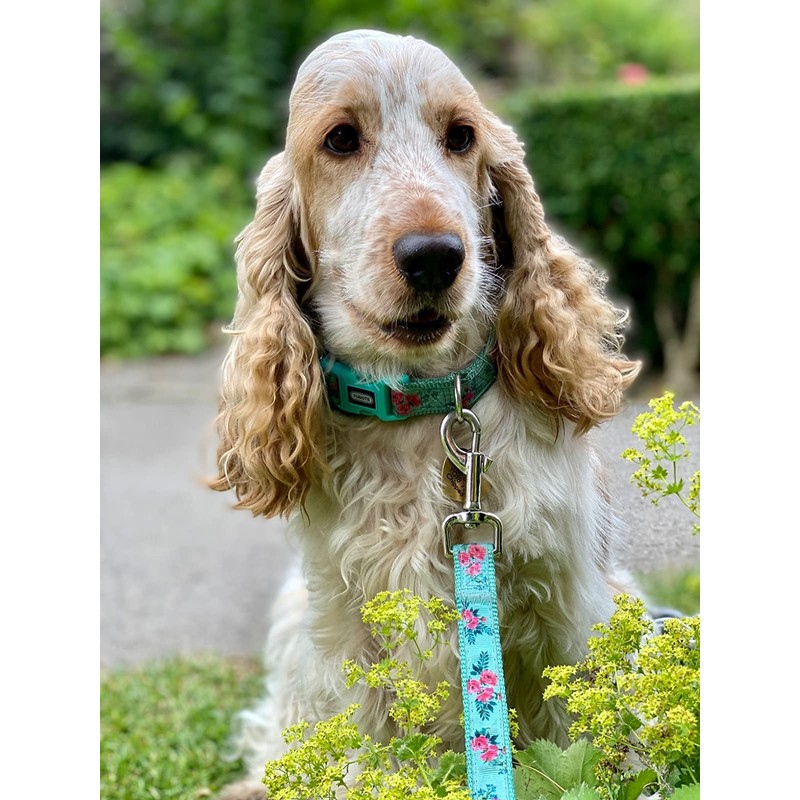 YUDOTE Adjustable Mint Green Nylon Dog Collar Small with Flower