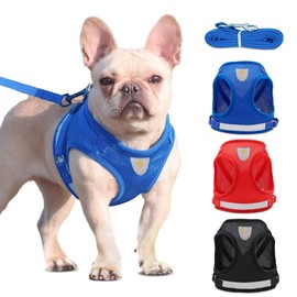 Adjustable Harness for Dogs and Cats - No Pull Reflective Harness with Leash, Comfortable and Breathable, Ideal for Walks and Walks, Safety Harness for Small and Large Pets (Red, L)