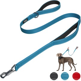 Fida Heavy Duty Dog Lead for Medium/Large Dogs, 1.2 m / 4 ft Double Handle Dog Lead for More Control, Reflective Dog Leads for Daily Walks & Training (Blue)