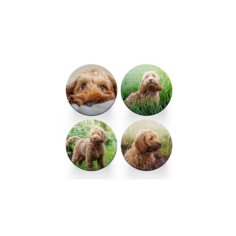 4 x Round Cockapoo Coasters - Golden Dogs Pet Poodle