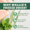 Wellix Freeze-Dried Catnip Treats with Chicken, Cat Grass & Catnip,