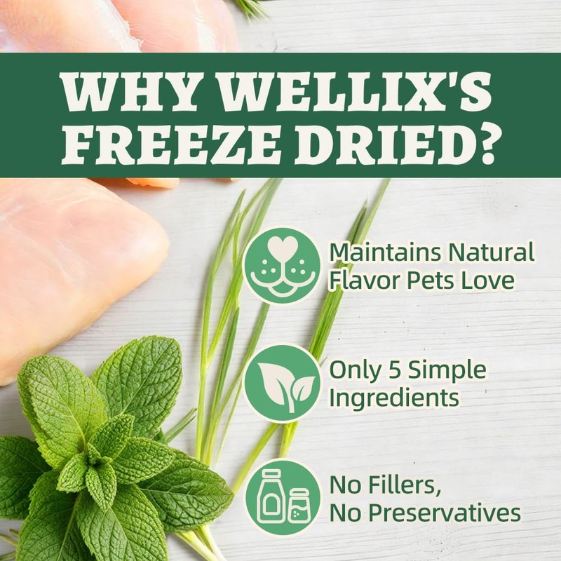Wellix Freeze-Dried Catnip Treats with Chicken, Cat Grass & Catnip,