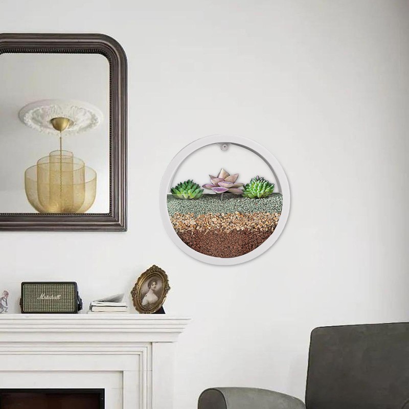 Round Wall Planter - Clear Vase Air Plants Holders |