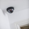 Mercury Dummy Dome Camera With Flashing Led