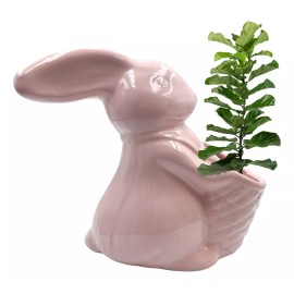 Muna Maceta De Cerámica Esmaltada Decorativa En Forma Conejo
