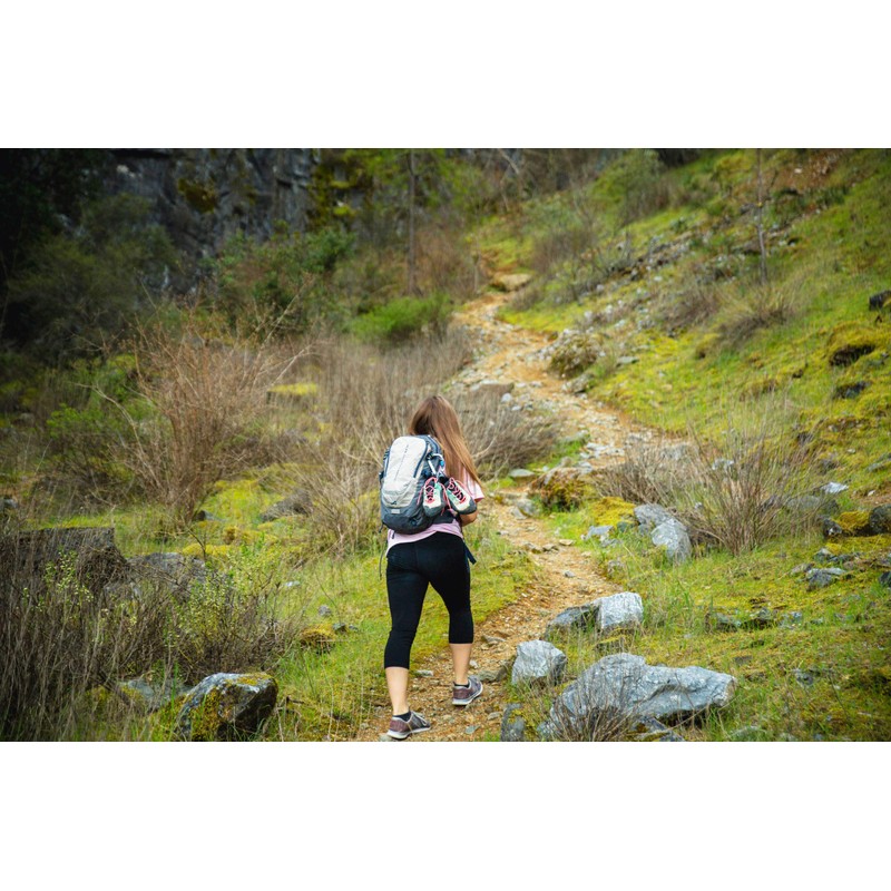 ALPS Mountaineering Gray/Navy, 17L