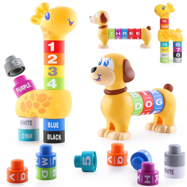 iPlay, iLearn Baby Stacking Toys, Toddler Montessori Building Blocks Set, Infant Alphabet Number Learning Block, Early Development Educational Birthday Gift for 12 18 Month 1 2 3 Year old Kid Boy Girl