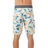 O'NEILL Men's 20 Inch Tropical Print Boardshorts - Quick Dry