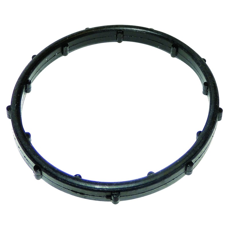 Crown Automotive Thermostat Seal Belts and Cooling