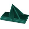 RUDONG M 72 Pack Hunter Green Satin Napkin, 17 x