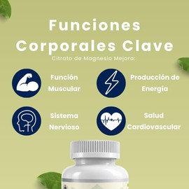 Fort Core - Akkermansia + Polifenoles - Suplemento Alimenticio - 60 capsulas