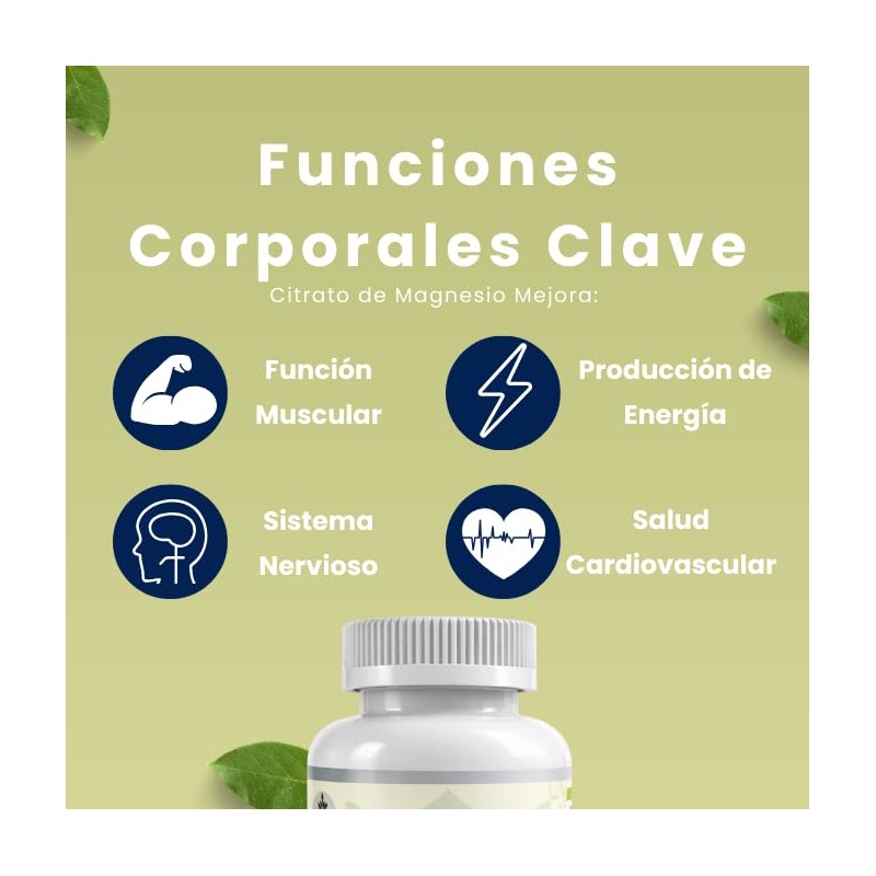 Fort Core - Akkermansia + Polifenoles - Suplemento Alimenticio -