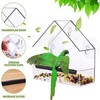 Window Bird Feeder Clear Sturdy Acrylic Window Bird House Feeder