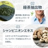 井藤漢方製薬 ニオイケアサプリメント【DA･TE･O NIO-I 30日分】