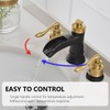 BATHLAVISH Widespread Bathroom Faucet Black Gold, Bathroom Faucet 3 Hole