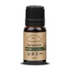 Pure Aroma Geranium Essential Oil 10ml USD Certified Organic / 퓨어스 아로마 제라늄 에센셜오일 10ml USD 유기농 인증