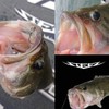 DAIWA Steese Worm Hook SS Wacky #3