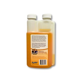 Liquified RV Toilet Treatment - Black Holding Tank Digester - Odor Eliminator - Orange Scent - Matts RV Reviews (Orange, 16oz)