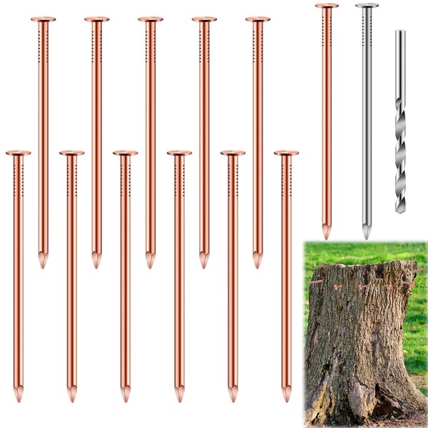 25 Pcs Copper Nails Kit to Killing Trees,Includes 23PCS 3.5