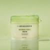 BRINGGREEN Artemisia Calming EX Toner Pad 75P - BRINGGREEN Artemisia