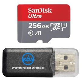 SanDisk 256GB Ultra MicroSDXC Memory Card Insta360 Action Camera Works with ONE RS 1-Inch 360 (SDSQUA4-256G-GN6MN) U1 A1 Class 10 Bundle with (1) Everything But Stromboli MicroSD Card Reader