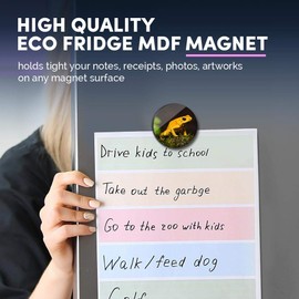 1 x Round MDF Magnet - Golden Poison Frog Yellow Frogs 45174