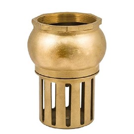 '1 weiblich Ventil aus Messing für Schlauch Pumpe Tauchpumpe Bewässerung