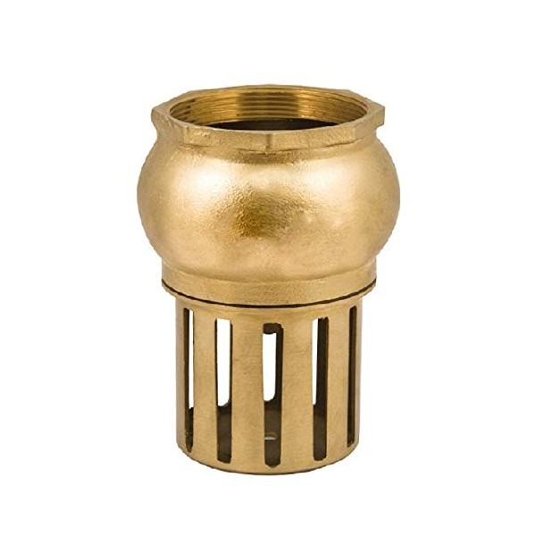 '1 weiblich Ventil aus Messing für Schlauch Pumpe Tauchpumpe Bewässerung