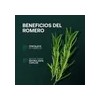 Shampoo Anticaída Romerox Tratamiento Cabello Y Barba 3 Pack