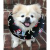 Made In USA Puppy Bumpers 100% Cotton Stuffed Safety Fence Collar to Keep your Pet Safe on the Right Side of the Fence- Jolly Roger - Fits Up to 10"