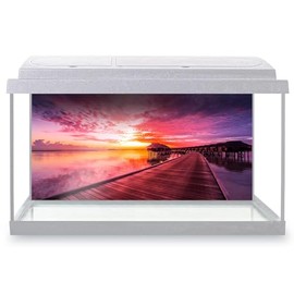 Aquarium Fish Tank Background 90x45 cm - Sunset Sky Pink Purple Exotic Beach Static Cling Vinyl Vivarium Terrarium External Application #52194