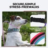 Slip Lead Dog Leash – 5/16 Inch Nylon Rope No