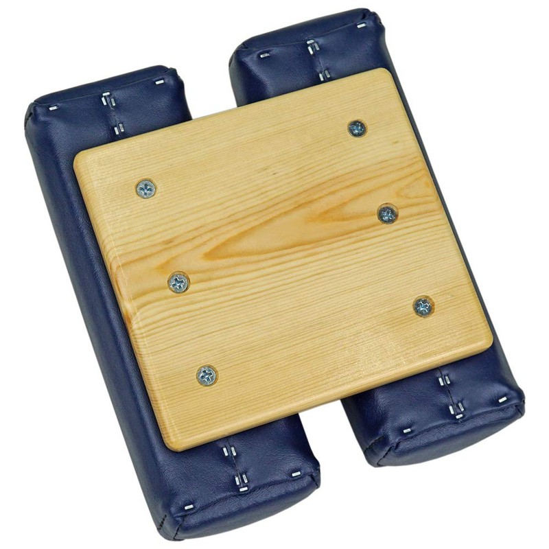LLOYD [Lloyd Table] Anteria Dorsal Plate is a plate used
