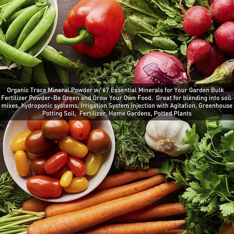 Azomite Micronized Bag, 44 lb (2-Pack)