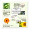 Organic Marigold Ointment I CristinenMoor Marigold Ointment, Natural Cosmetics, Certified